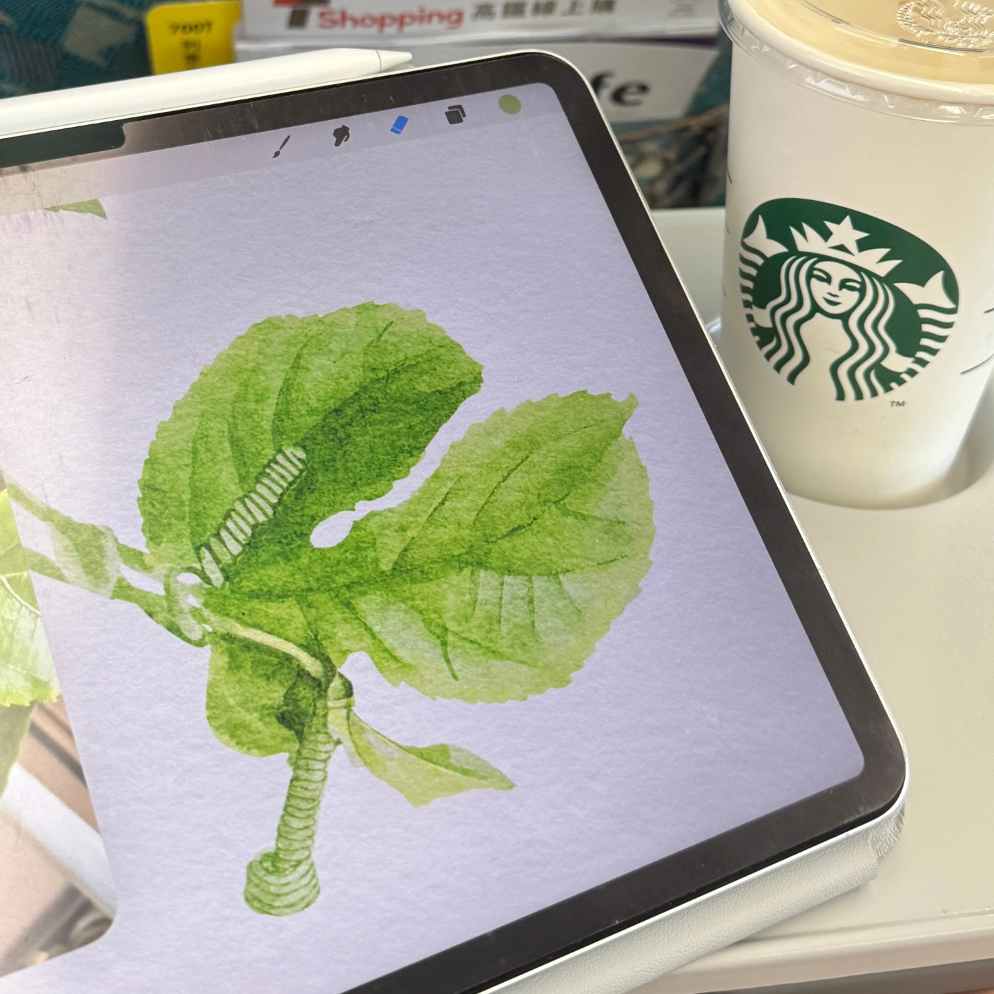 到哪裡都能畫｜iPad 植物電繪